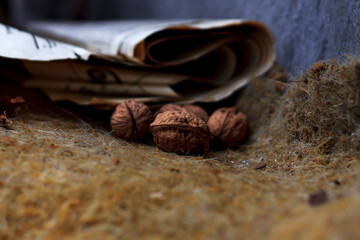 Walnuts lie on dry grass with an old newspaper in cloudy weather side view