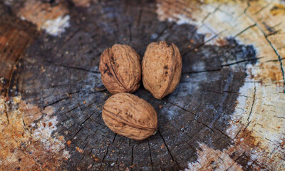 brown walnuts lie on an old rotten stump top view