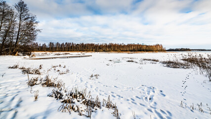 Winter sun illuminates the forest lake