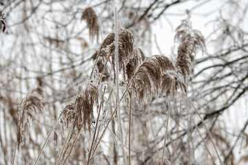 bitter cold winter morning