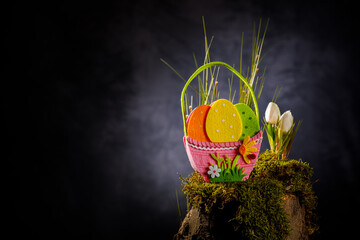 Ostern Frühling in der Natur
