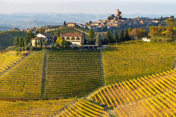 Scenic autumn landscape of vineyards around Serralunga d’Alba in Langhe area, Piedmont, Italy