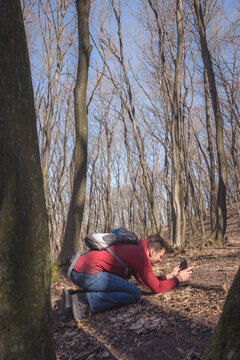 Man is photographing spring flowers in the forest with his mobil