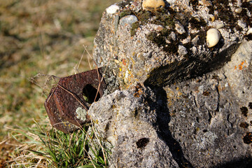 den Menschen auf der spur 