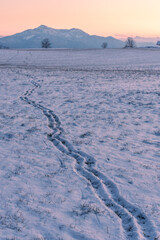 Spuren im Schnee  mit Sonnenuntergang in den Ostalpen im Chiemgau