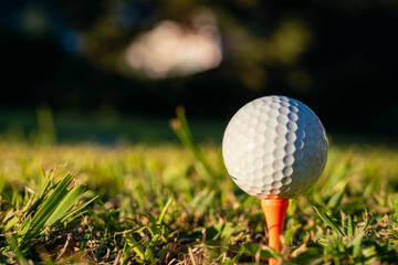 tee stand on grass hole tee and golf ball at sunset