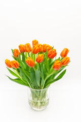 Obraz premium Tulpenstrauß in einer Glasvase auf weißem Hintergrund