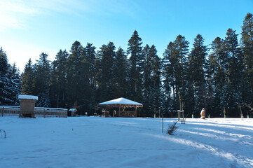 Fototapeta na wymiar Kraftvolle weitwinkelaufnahme im schwarzwald mit schnee, blauem himmel, tannen natürlich mit kraftvollen farben
