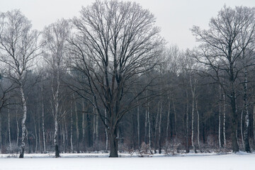 bitter cold winter morning