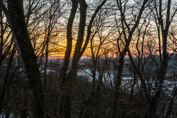Blick durch Bäume als Silhouetten auf Sonnenuntergang