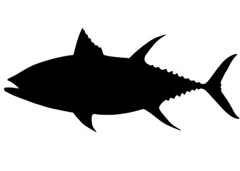 Big tuna. Vector image.