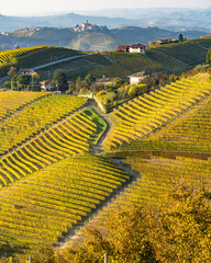 Scenic road on a hill among the vineyards of Langhe district near Serralunga d’Alba, Piedmont,...