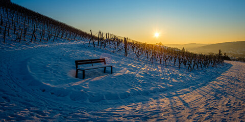 Bench in vineyard landscape winter snow with sun back lit
