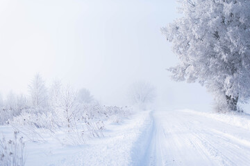 Fototapeta na wymiar Winter rural landscape, road between fields and meadows covered with snow, trees covered with frost, misty cold morning, beautiful hoarfrost covered pines and grasses