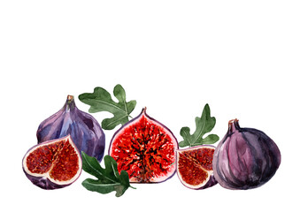 Composition of purple figs whole fruits and slices with green leaves on a white background. Set for the design of cards, covers, menus, borders, print, textile, banner, background. Watercolor.