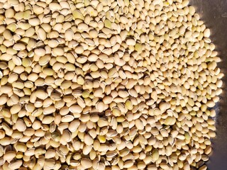 buckwheat groats background