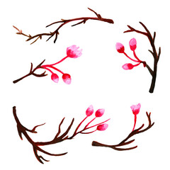  SAKURA Pink,Watercolor, Sakura, Branch, Flower, SAKURA