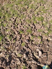 dry soil background