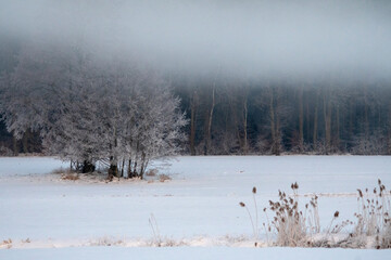 bitter cold winter morning