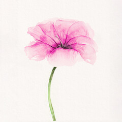 watercolor painting of a pink blossom flower