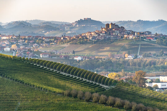 Scenic landscape over Langhe vineyards seen from Grinzane Cavour castle, Piedmont, Italy