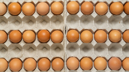 Chicken eggs in a carton. Flat lay.