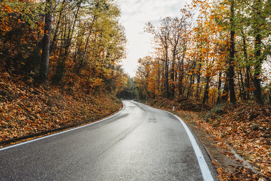 Asphalt road through the yellow forest in Tuscany, autumn season