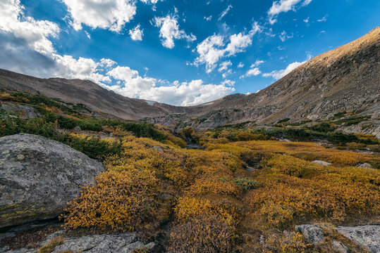 Fall tundra in the Indian Peaks Wilderness