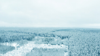 Fototapeta na wymiar Aerial view from drone on blue snowy forest in winter