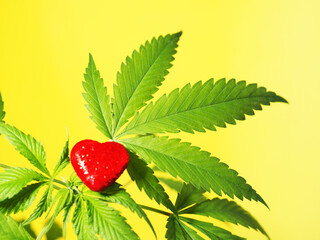 marijuana growing plant hemp red heart sign. cannabis love