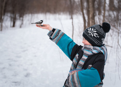 Young boy feeding bird from his hand on a snowy wooded trail.