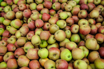 apples in the market, green and red apples background 