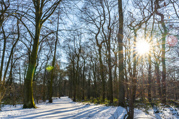 A walk at te recreation area Sechs-Seen-Platte in Duisburg Wedau on a sunny and cold winter day