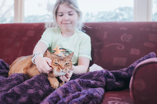 Young girl patting her cat indoors sitting on a sofa