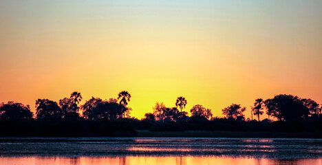  Colors of a heavenly landscape at sunset in a tropical wetland.