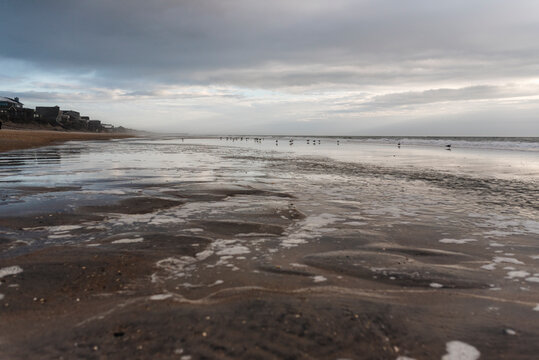 Tide pools and seagulls in the morning on shore at Topsail Beach, NC