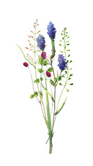 Watercolor bouquet of wildflowers and herbs on a white background 