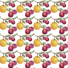 Watercolor seamless pattern with plums Hand drawn hand painted realistic watercolor food illustrations. Great for background, textile, fabric, paper design