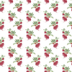 Watercolor seamless pattern with colorful radish Realistic hand drawn watercolor illustration on white background Great as fabric, textile or paper design. Scrapbooking digital paper