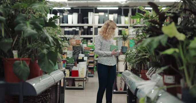 Young woman chooses flowers in a supermarket
