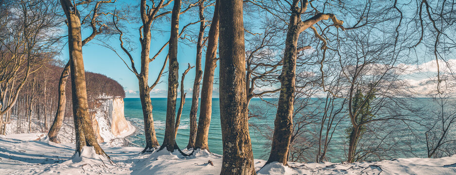Winterlandschaft Kreideküste, Kreidefelsen Nationalpark Jasmund auf der Insel Rügen