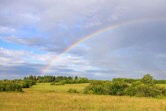 green field and parts of trees during the day with cumulus clouds and a rainbow in the sky