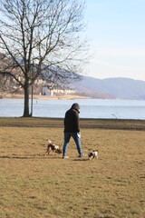 Spaziergänger am Rhein.