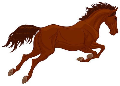 Jumping stallion arched its neck. Dark brown leaping horse pricked up its ears. Vector illustration, design element for stud farms and equestrian shows.