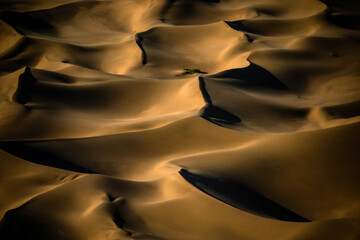 Fototapeta na wymiar Sand dunes in Gobi desert, Alashan, China