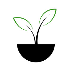 Line icon of a young plant with two leaves. Vector illustration isolated on white background.