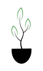 Line icon of a young plant with three leaves. Vector illustration isolated on white background.