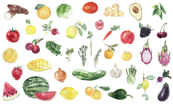 Watercolor hand drawn set isolated on white. Fresh fruits and vegetables. Healthy lifestyle. Eco and bio food. Gardening, farming, cooking. Recipe book, cook book, menu