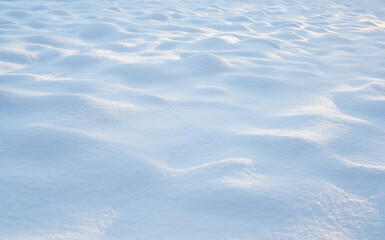 Winter. Season. Snow. Sun. Cold. Ice.