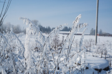 Winter. Season. Snow. Sun. Cold. Ice.